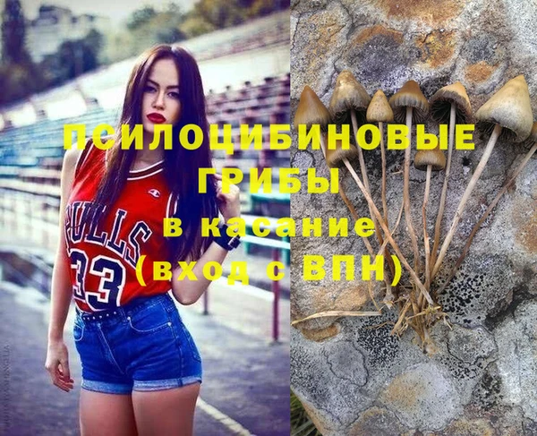 прущие крисы Вяземский