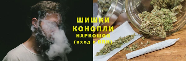 прущие крисы Вяземский
