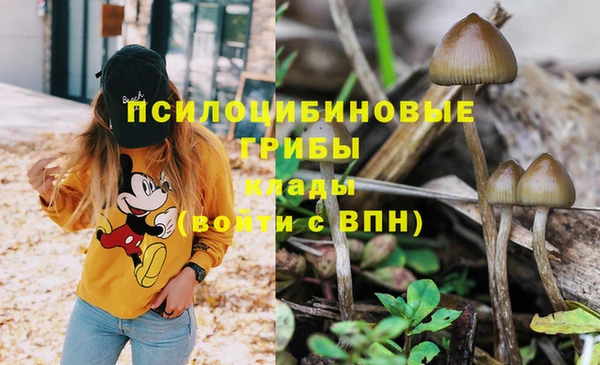 гидропоника Вязьма
