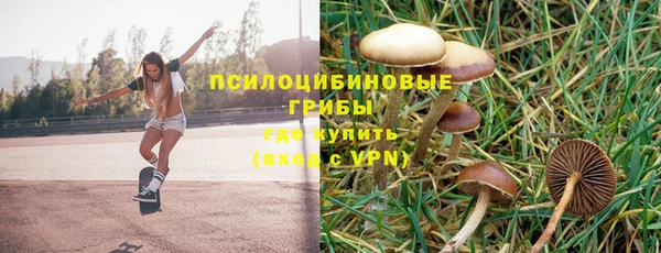 гидропоника Вязьма