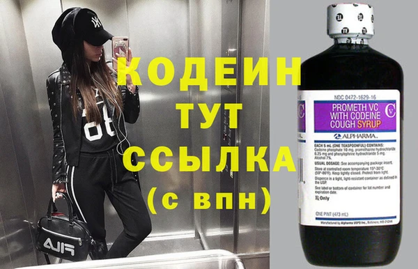 прущие крисы Вяземский