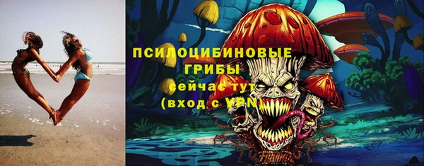 прущие крисы Вяземский