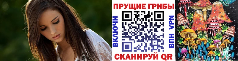 Псилоцибиновые грибы Psilocybine cubensis  блэк спрут сайт  Зеленокумск  где найти  